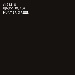 #161210 - Hunter Green Color Image